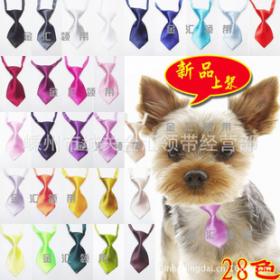 金匯寵物用品加盟費用及詳情解析